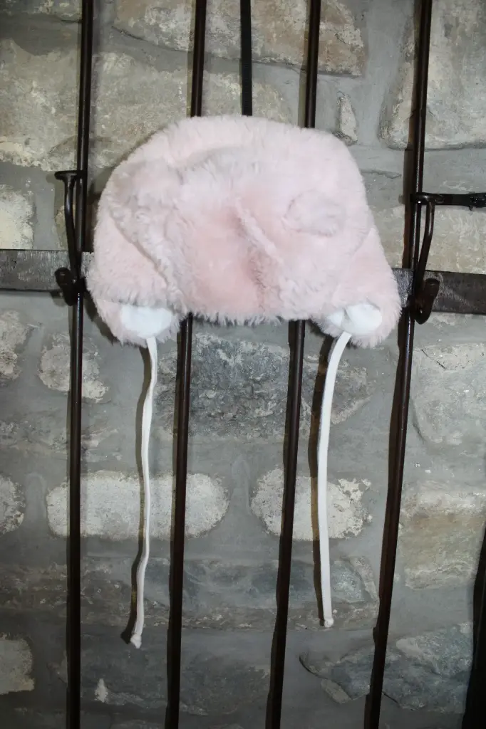 Bonnet